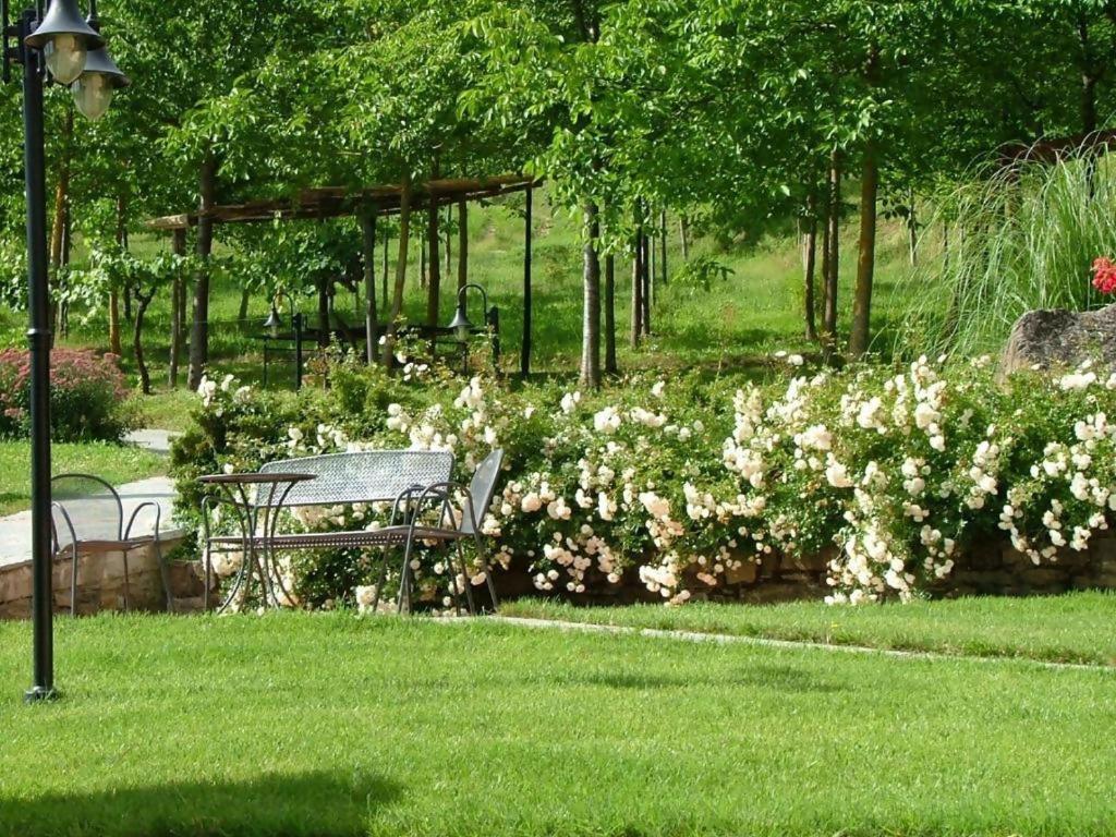 Agriturismo Podere La Casaccia Poppi Luaran gambar